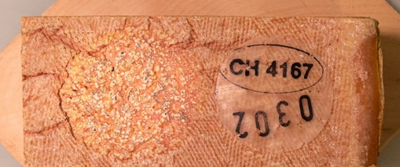 Picture1.jpg