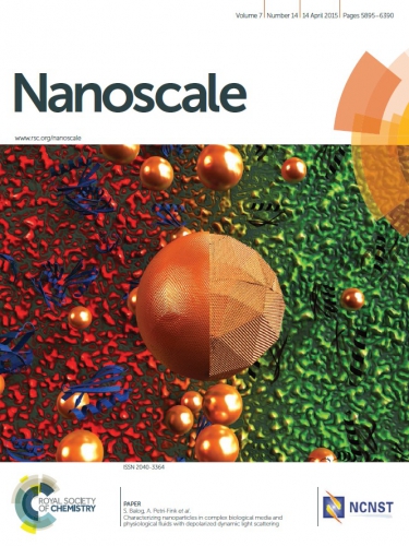 Nanoscale_2015.jpg