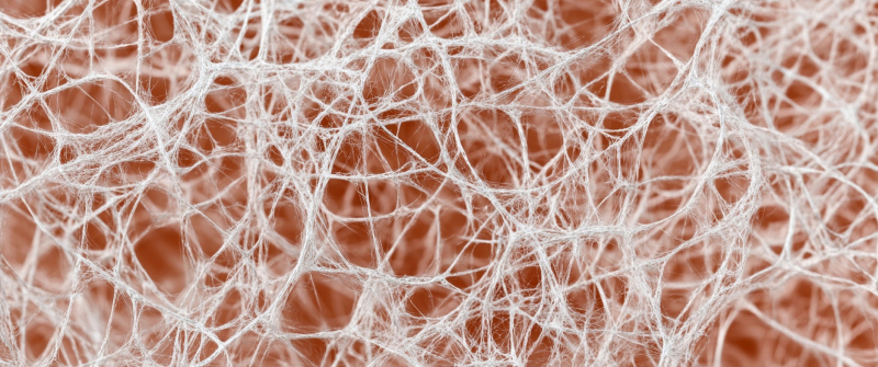 Formon_Independent_Project_cropped_1600x670.jpg